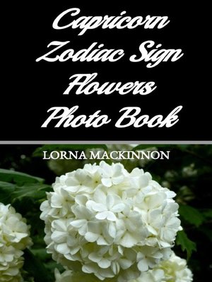 cover image of Capricorn Zodiac Sign Flowers Photo Book